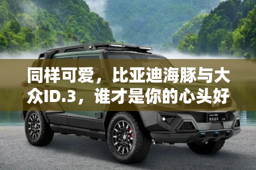 同样可爱，比亚迪海豚与大众ID.3，谁才是你的心头好？,同样可爱 比亚迪海豚和大众ID.3选谁？