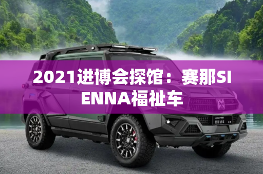 2021进博会探馆：赛那SIENNA福祉车