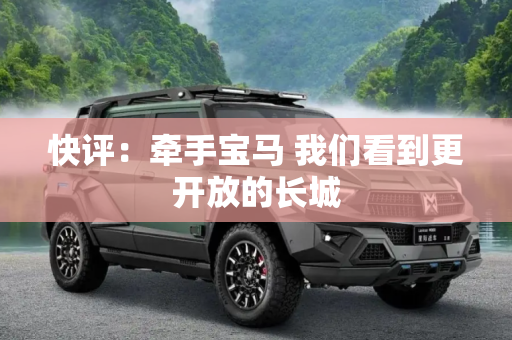 快评：牵手宝马 我们看到更开放的长城