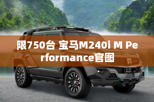 限750台 宝马M240i M Performance官图