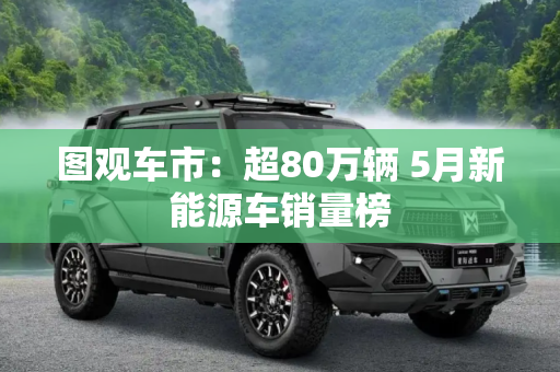 图观车市：超80万辆 5月新能源车销量榜
