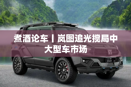 煮酒论车丨岚图追光搅局中大型车市场