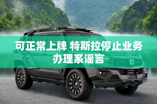 可正常上牌 特斯拉停止业务办理系谣言