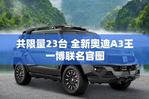 共限量23台 全新奥迪A3王一博联名官图