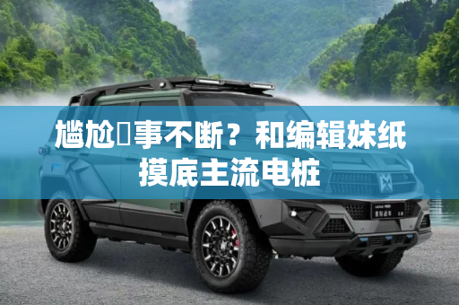 尴尬囧事不断？和编辑妹纸摸底主流电桩