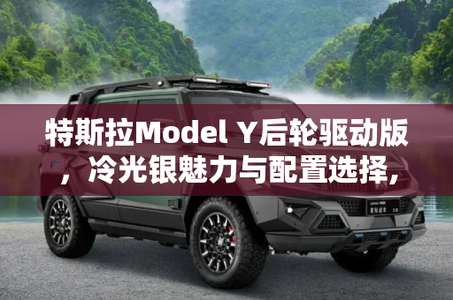 特斯拉Model Y后轮驱动版，冷光银魅力与配置选择,特斯拉Model Y后轮驱动版冷光银不标配