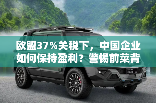 欧盟37%关税下，中国企业如何保持盈利？警惕前菜背后的挑战,欧盟37%关税依然盈利，怕只是“前菜”?