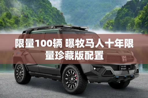 限量100辆 曝牧马人十年限量珍藏版配置