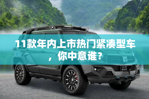 11款年内上市热门紧凑型车，你中意谁？