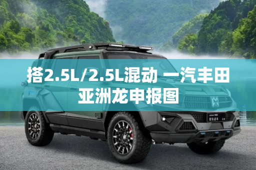 搭2.5L/2.5L混动 一汽丰田亚洲龙申报图