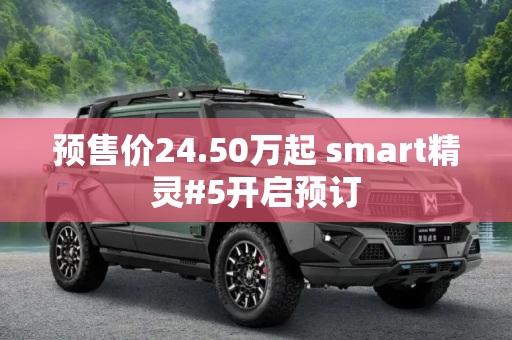 预售价24.50万起 smart精灵#5开启预订