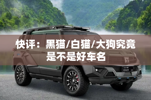 快评：黑猫/白猫/大狗究竟是不是好车名