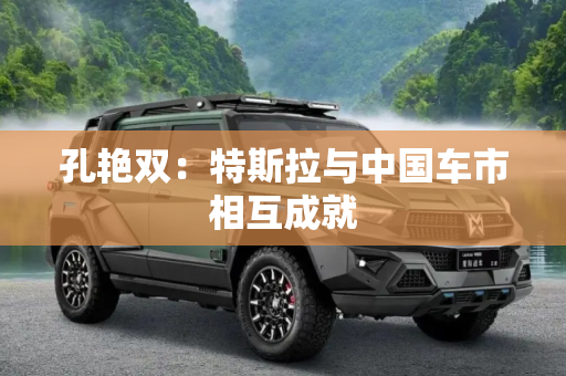 孔艳双：特斯拉与中国车市相互成就