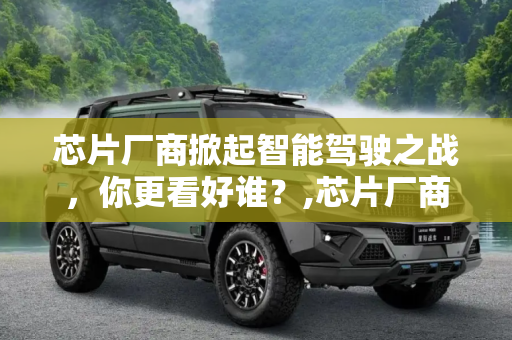 芯片厂商掀起智能驾驶之战，你更看好谁？,芯片厂商掀起智能驾驶之战 你更看好谁?