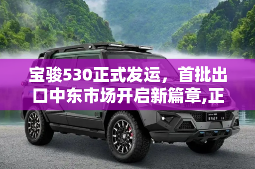 宝骏530正式发运，首批出口中东市场开启新篇章,正式发运 首批宝骏530出口中东市场