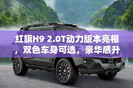 红旗H9 2.0T动力版本亮相，双色车身可选，豪华感升级,2.0T动力/可选双色车身 红旗H9申报图