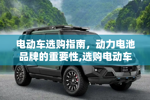 电动车选购指南，动力电池品牌的重要性,选购电动车 你会在意动力电池品牌吗？