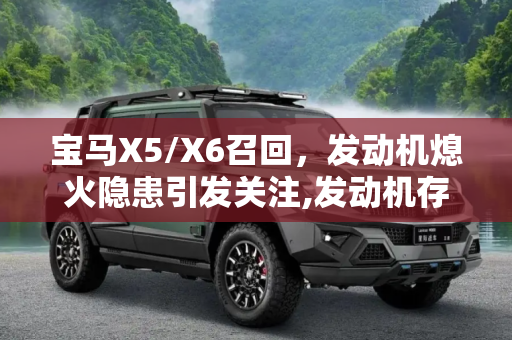 宝马X5/X6召回，发动机熄火隐患引发关注,发动机存熄火隐患 部分宝马X5/X6召回