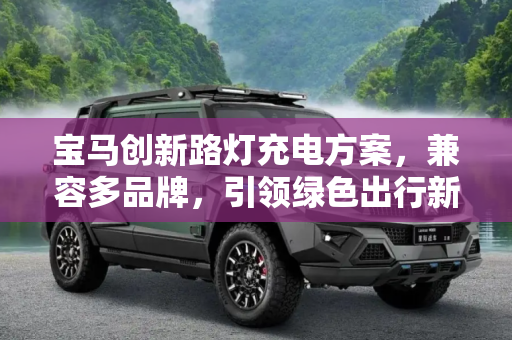 宝马创新路灯充电方案，兼容多品牌，引领绿色出行新风尚,可兼容其他品牌 宝马将推路灯充电方案