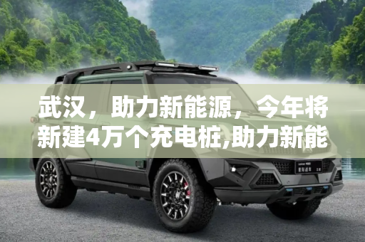 武汉，助力新能源，今年将新建4万个充电桩,助力新能源 武汉今年将新建4万个充电桩