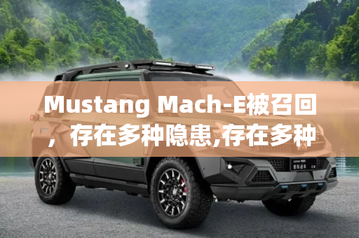 Mustang Mach-E被召回，存在多种隐患,存在多种隐患 Mustang Mach-E被召回