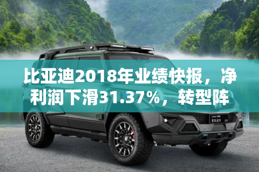比亚迪2018年业绩快报，净利润下滑31.37%，转型阵痛期的挑战与机遇,净利润下滑31.37% 比亚迪2018业绩快报