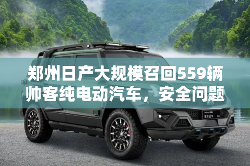 郑州日产大规模召回559辆帅客纯电动汽车，安全问题不容忽视,共计559辆 郑州日产召回帅客纯电动汽车