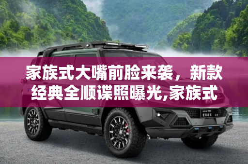 家族式大嘴前脸来袭，新款经典全顺谍照曝光,家族式大嘴前脸 新款经典全顺谍照曝光