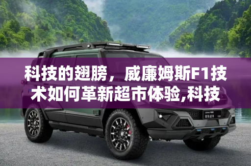 科技的翅膀，威廉姆斯F1技术如何革新超市体验,科技造福人类 威廉姆斯F1技术带入超市