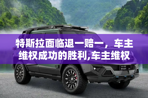 特斯拉面临退一赔一，车主维权成功的胜利,车主维权成功 特斯拉被判“退一赔一”
