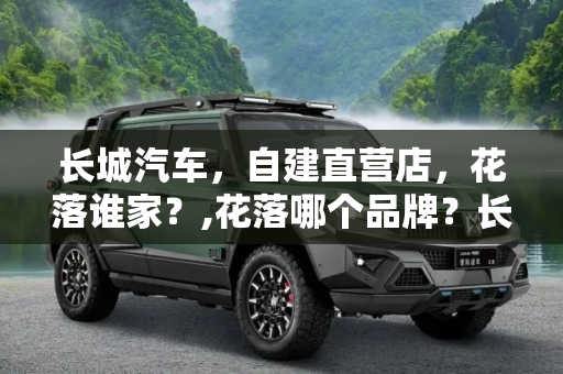 长城汽车，自建直营店，花落谁家？,花落哪个品牌？长城汽车筹备自建直营店